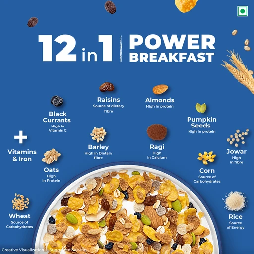 Kelloggs Muesli (Pauch) Sugar Free