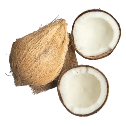 Semi Husked Fresh Coconut