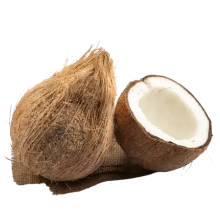 Semi Husked Fresh Coconut