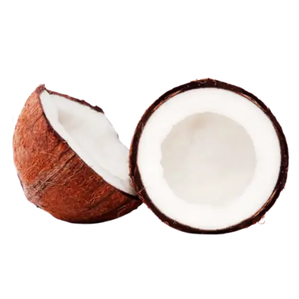 Semi Husked Fresh Coconut