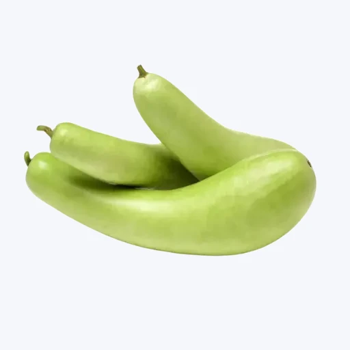 Bottle Gourd - Lauka (1.25 ~ 1.5 Kg)