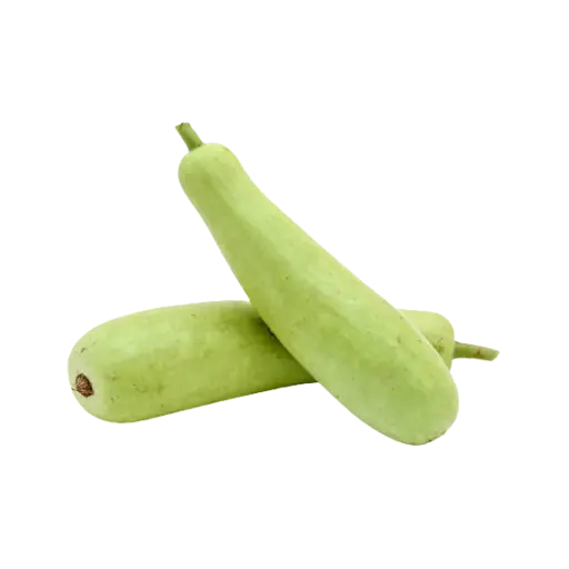 Bottle Gourd - Lauka (1.25 ~ 1.5 Kg)