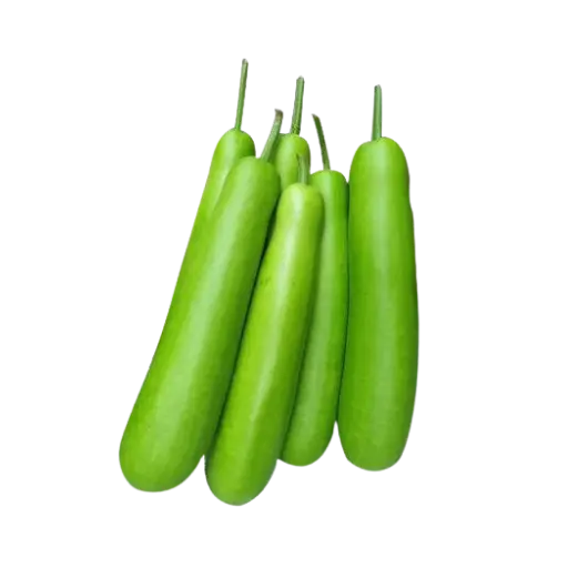 Bottle Gourd - Lauka (1.25 ~ 1.5 Kg)