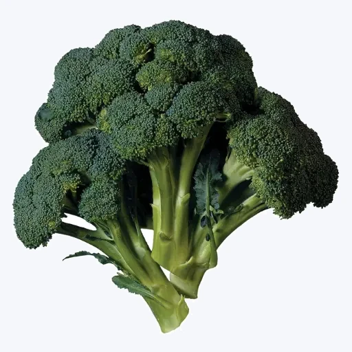 Broccoli