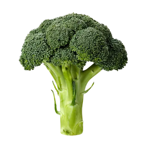 Broccoli