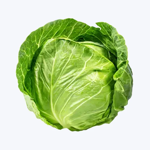 Cabbage