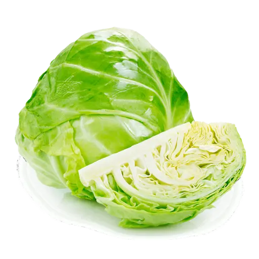 Cabbage