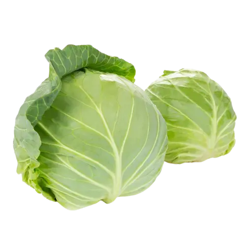 Cabbage
