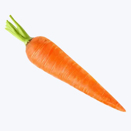 Carrot