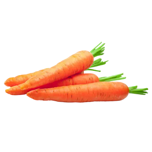 Carrot