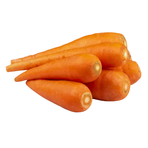 Carrot