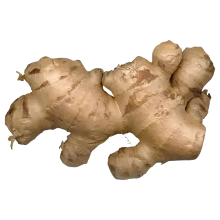 Ginger