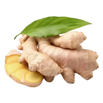Ginger
