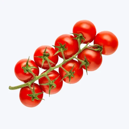 Tomato - Tunnel