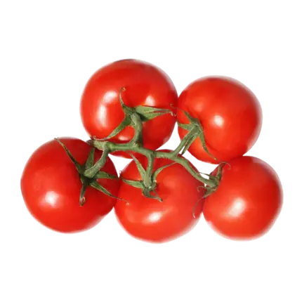 Tomato - Tunnel