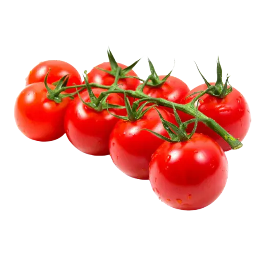 Tomato - Tunnel